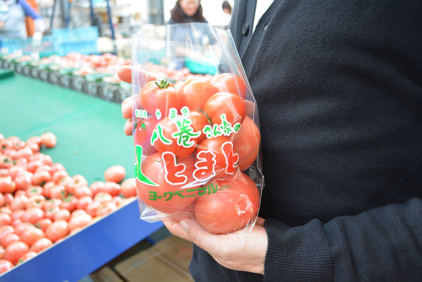 八巻さんちのトマト