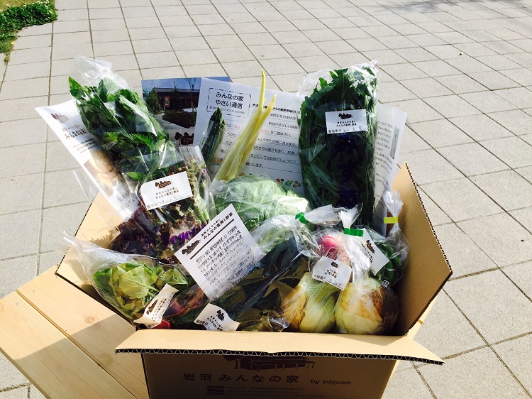 20150516通販野菜2