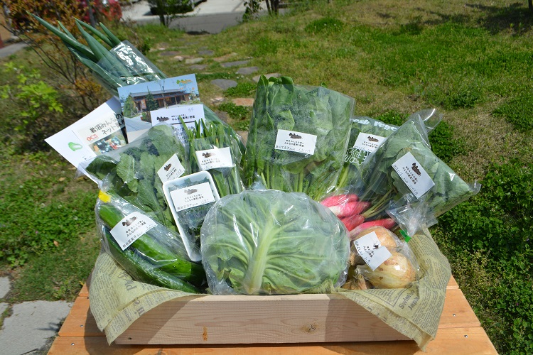 5月5日（土）に出荷した野菜はコチラです！