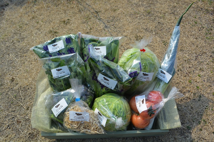3月2日（土）に出荷した野菜はコチラです！