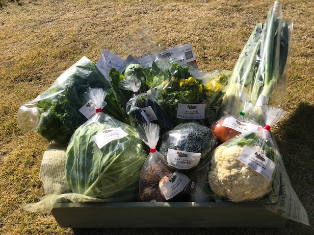 11月14日（土）にネット販売・ふるさと納税で発送した野菜はコチラです！