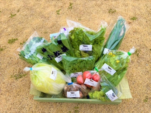 3月20日（土）にネット販売・ふるさと納税で発送した野菜はコチラです！