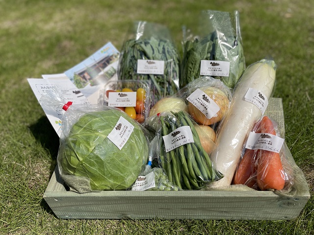 6月12日（土）にネット販売・ふるさと納税で発送した野菜はコチラです！