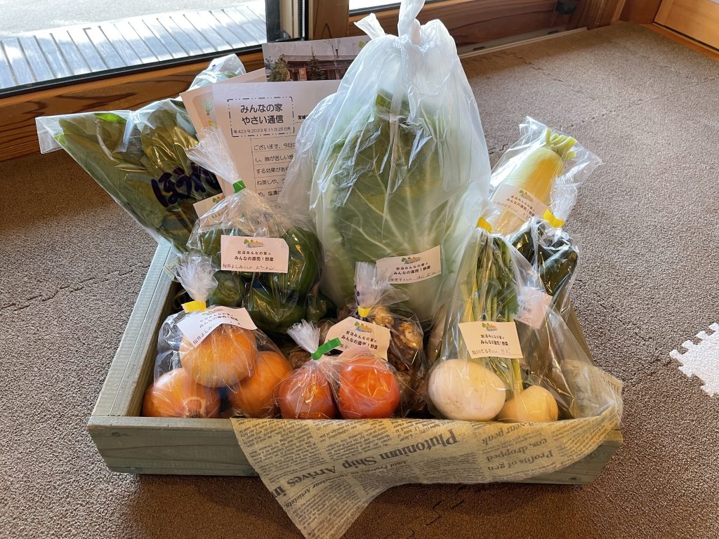 11月25日（土）にネット販売・ふるさと納税で発送した野菜はコチラです！