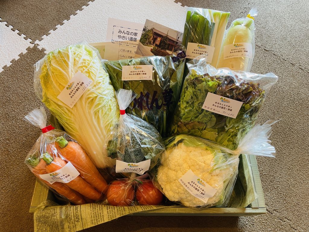 12月9日（土）にネット販売・ふるさと納税で発送した野菜はコチラです！