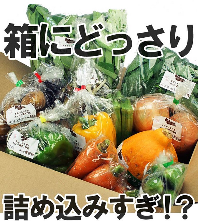 OCS野菜_750