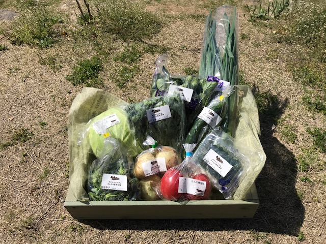 4月20日（土）に出荷した野菜はコチラです！