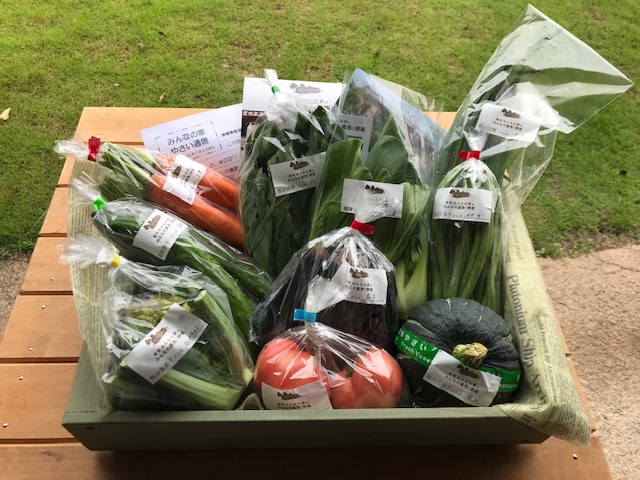 7月4日（土）にネット販売・ふるさと納税で発送した野菜はコチラです！