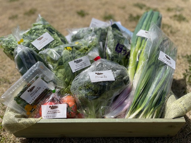 4月10日（土）にネット販売・ふるさと納税で発送した野菜はコチラです！
