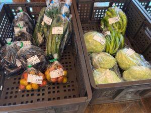 7月12日(土) みんなの直売！