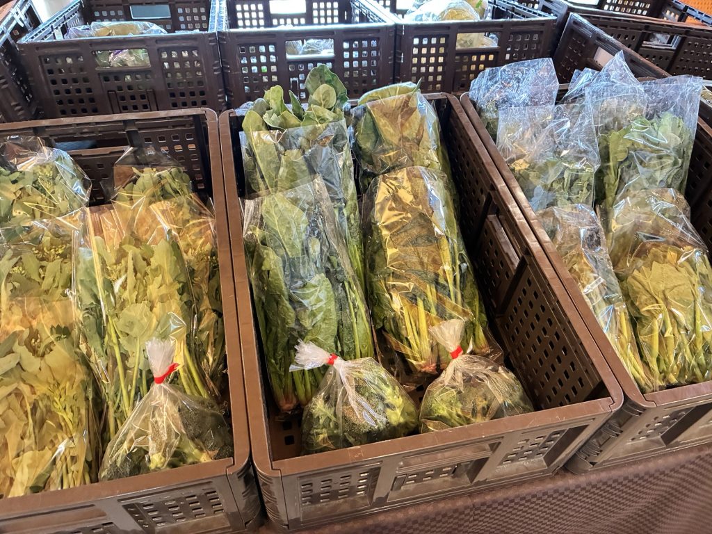 4月11日(土)みんなの直売！